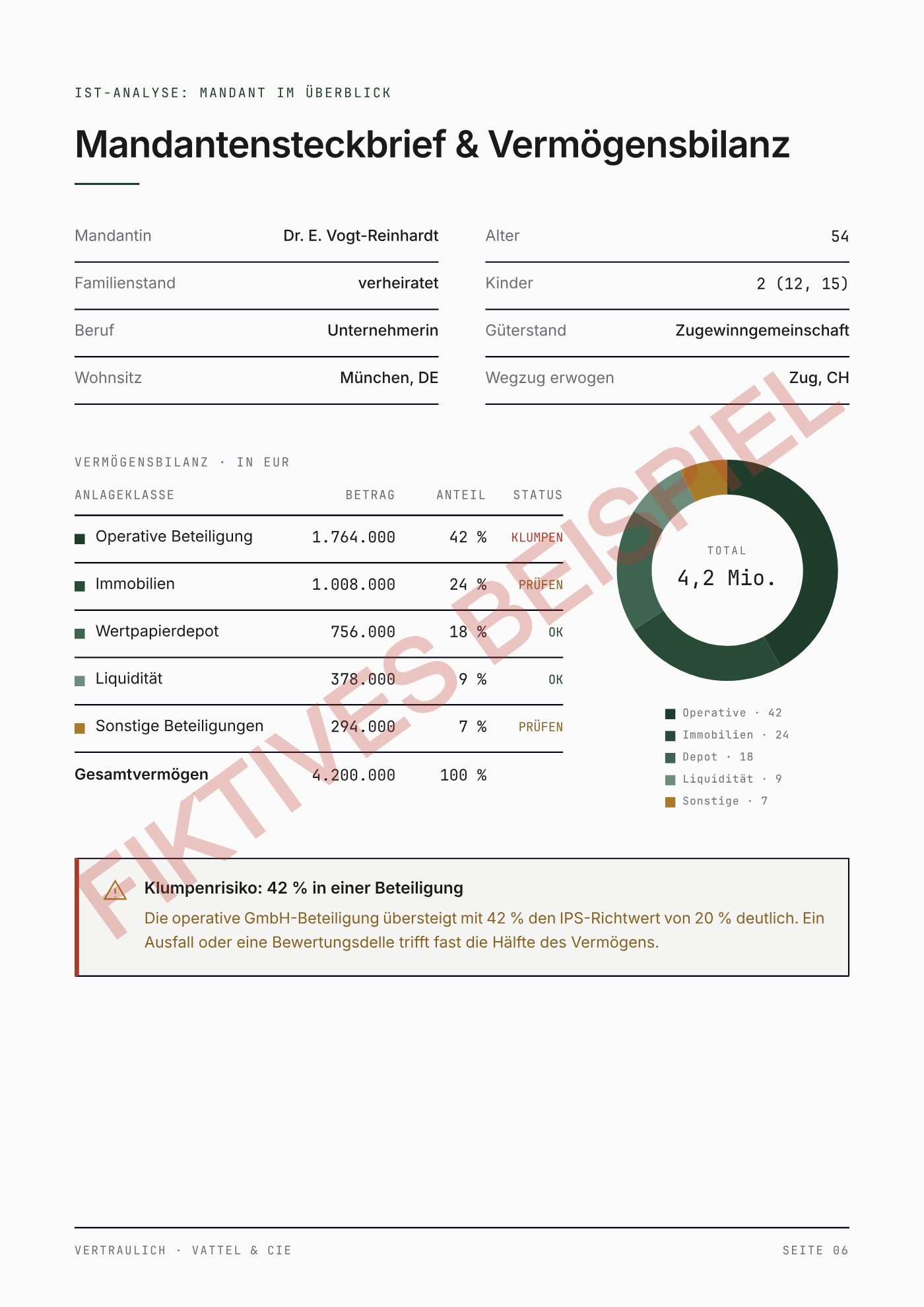Musterbericht, fiktives Beispiel: Steckbrief und Vermögensbilanz